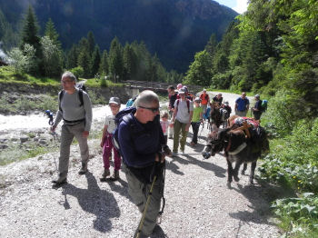 Salendo in Val Pradidali (52792 bytes)